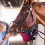 Swiss Innovation with Global Potential ;  Boehringer Ingelheim Acquires Evax AG